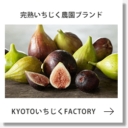 KYOTOいちじくFACTORYへのバナー