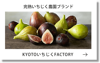 KYOTOいちじくFACTORYへのバナー